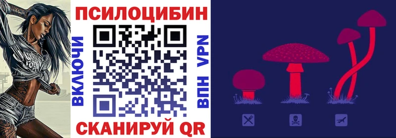 Галлюциногенные грибы прущие грибы Купить где Зуевка
